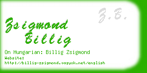 zsigmond billig business card